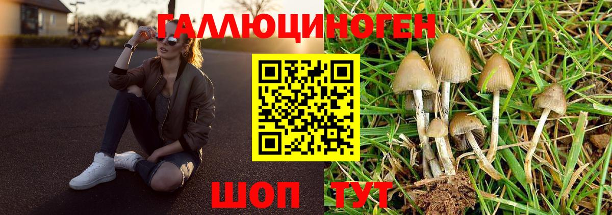 Псилоцибиновые грибы ЛСД Верхняя Салда