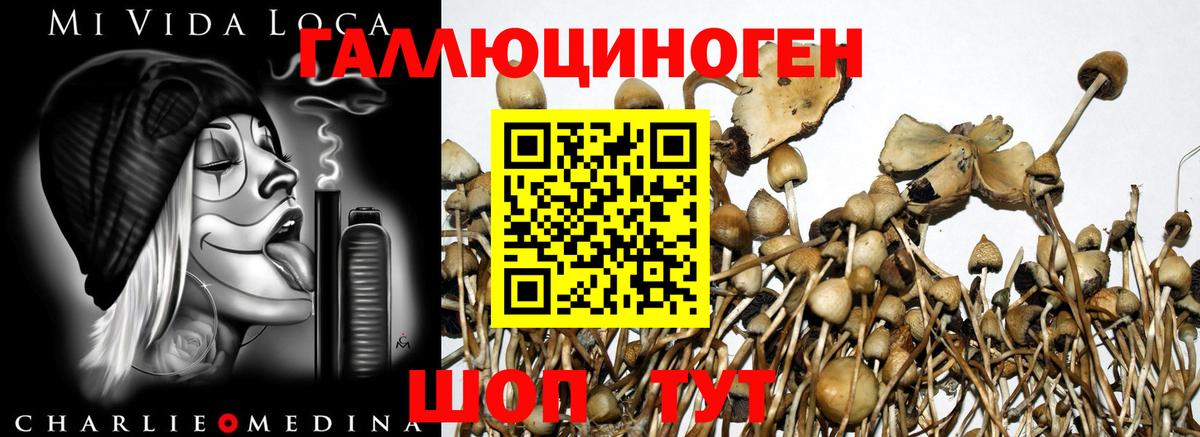 Псилоцибиновые грибы ЛСД  Псилоцибиновые грибы Psilocybe  Вход с VPN  Верхняя Салда 